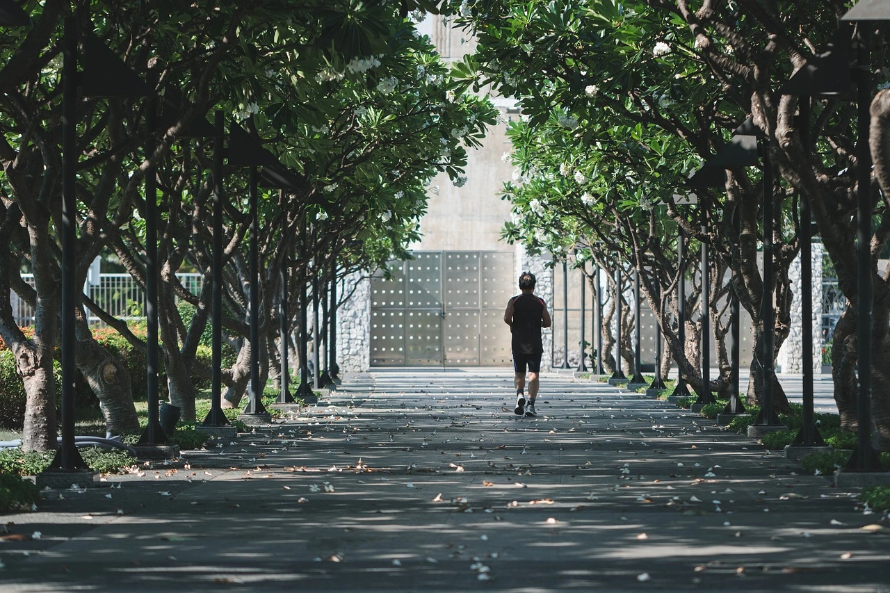 A man jogging along a path lined with trees, casting shade on the walkway, in a peaceful outdoor setting.